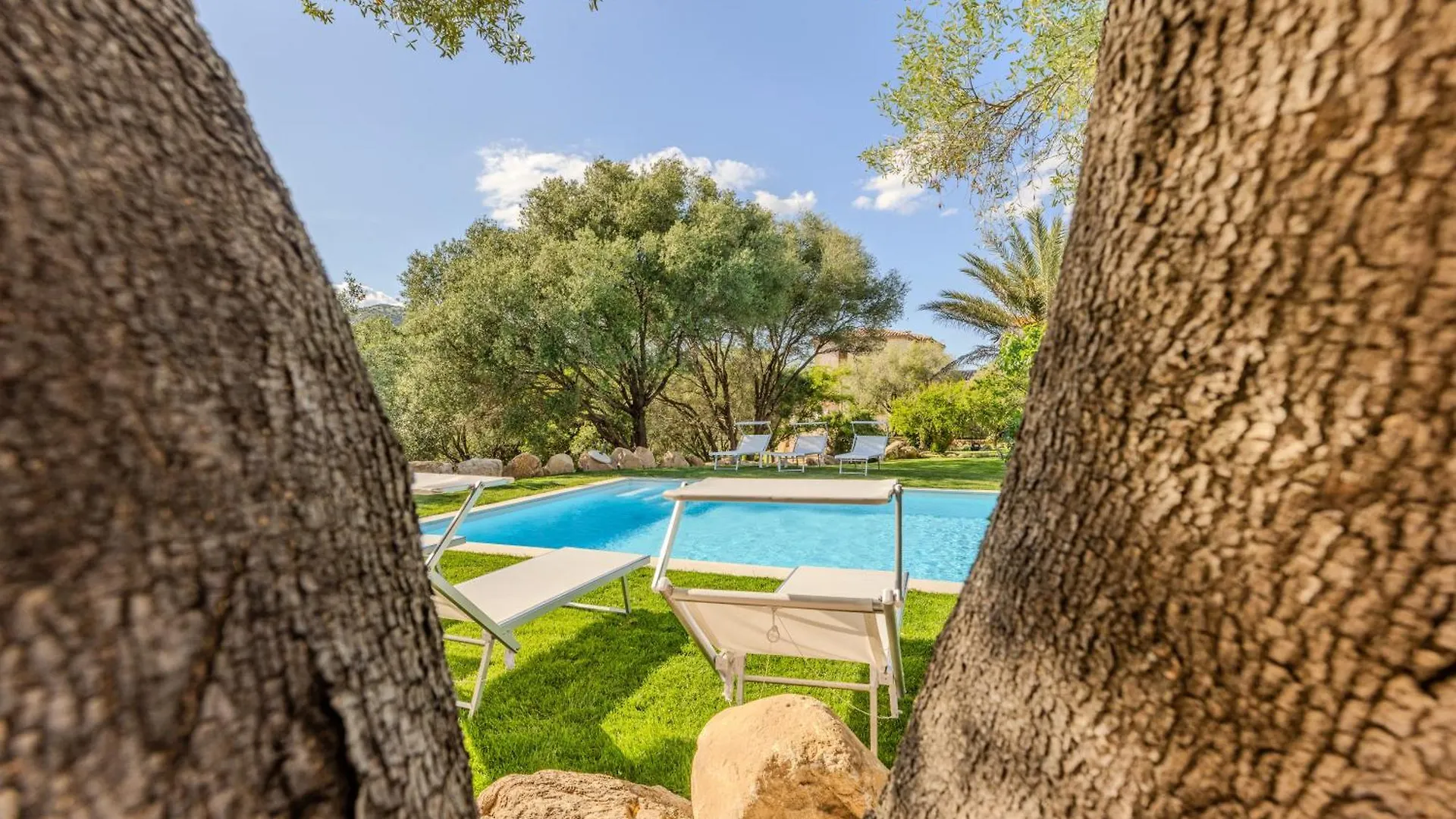 Stazzo San Teodoro Piscina Condivisa Apartamento Itália
